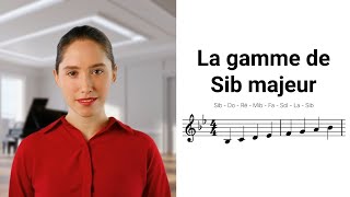 Comprendre La Gamme De Si Bémol Majeur