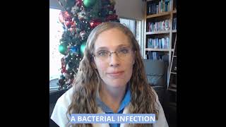 Is prednisone an antibiotic?