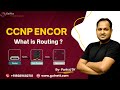 CCNP ENCOR: What is Routing ?