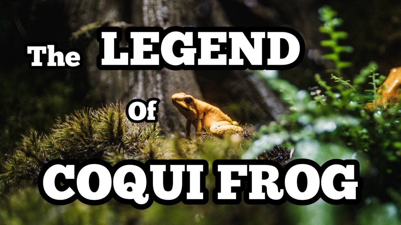 Legend of Coqui Frog in less than 2 minutes. YouTube