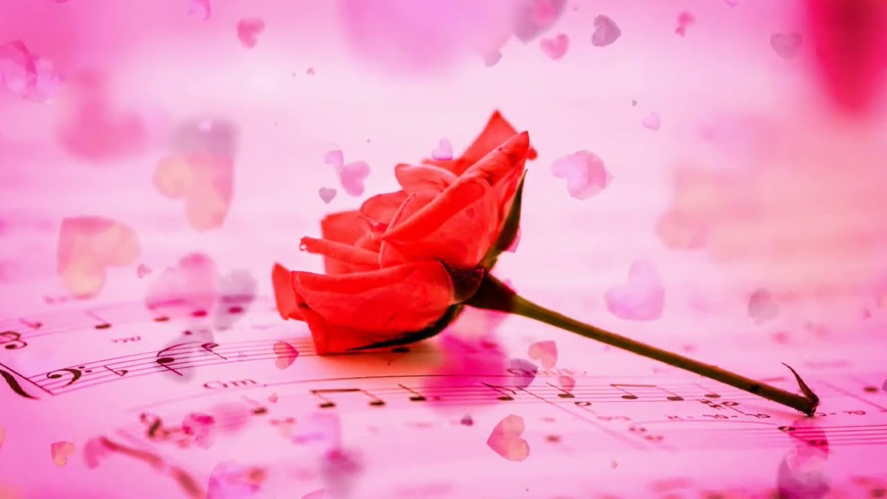 Şirin nəğməsən * Ты сладкая песня * You are a sweet song