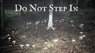 The Dark Reality Behind Fairy Ring Folklore