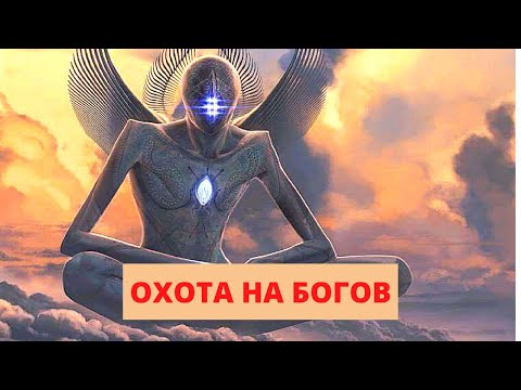 Видео: НЕВЕРОЯТНОЕ ОТКРЫТИЕ УЧЕНЫХ ПОВЕРГЛО В ШОК! Охота на богов