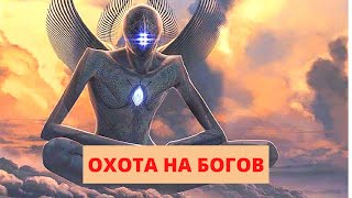 НЕВЕРОЯТНОЕ ОТКРЫТИЕ УЧЕНЫХ ПОВЕРГЛО В ШОК! Охота на богов