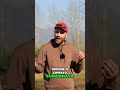 Pacciamatura, Meno Lavoro, Più Risultati! La Mia Esperienza