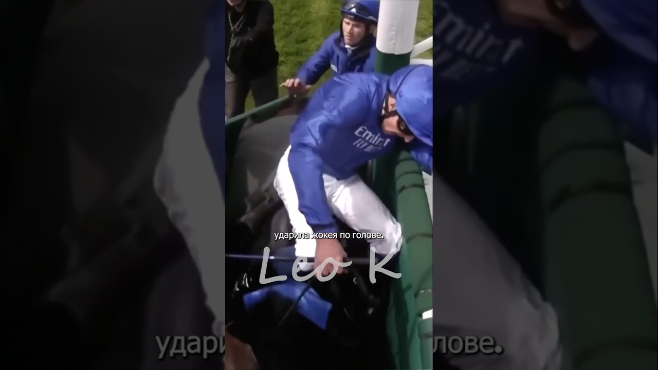 Лошадь рассердилась когда обидели ее жокея #shorts