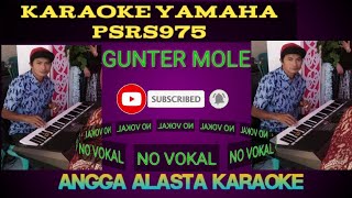 Gunter mole anto icak karaoke pop sumbawa cover psrs975