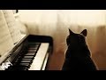 Alan Walker - Sunday (Piano Version) By Vin Kpa