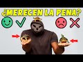 ¿TENER UNA TORTUGA ES TAN MALO COMO DICEN? 5 COSAS BUENAS Y 5 COSAS MALAS SOBRE ELLAS...