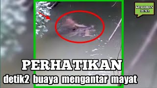 Lihat, Viral, subahanallah detik detik seekor buaya mengantar mayat di sungai Berau Kalimantan