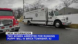 135 dogs, 45 cats found in illegal puppy mill in Brick Township, New Jersey