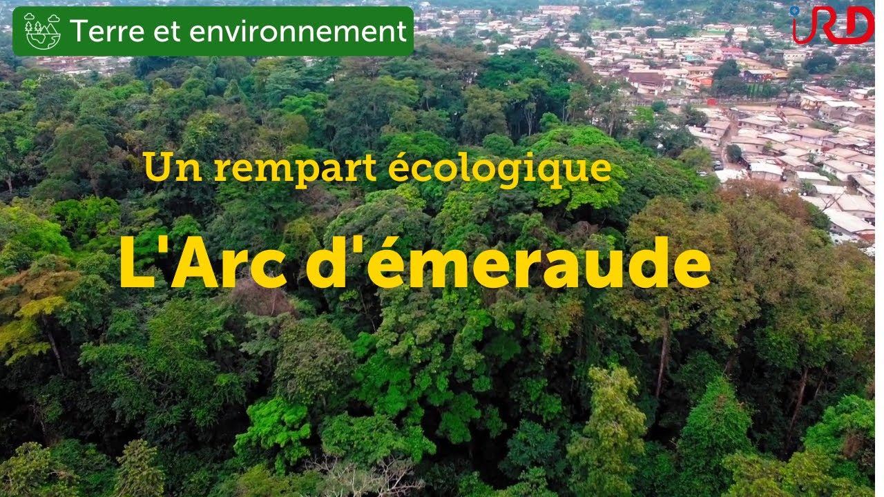 L'Arc d'Emeraude un rempart écologique pour Libreville