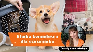 Klatka kennelowa dla szczeniaka  Jak? Po co? Dlaczego? Trening klatkowy szczeniaka