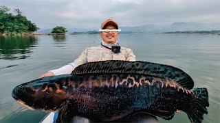 PECAH REKOR MAMA TOMAN SAURUS  BABON RUNGKAD SEJAGAT RAYA 2023! | WORLD RECORD GIANT SNAKEHEAD 2023!