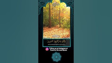 سوره روم، آیات 12 تا 15 با ترجمه فارسی و انگلیسی بهروز رضوی.