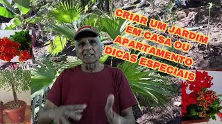 jardim em casa ou apartamento dicas especiais.