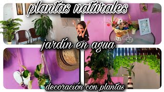 🔴DECORANDO LA CASA CON PLANTAS🏡 / les cuento cómo van las cosas /#plantasdentrodecasa /cambio total😍