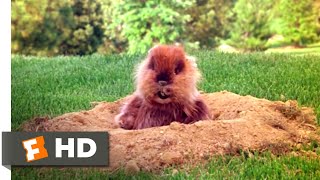 Caddyshack (1980) - How About a Nice, Cool Drink? Scene (3\/9) | Movieclips