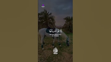 🌙 دقايق من النور… تلاوة فيها راحة وسكون وطمأنينة 💖 عبدالله مصطفى