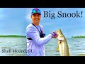 Big Snook! Saltwater Kayak Fishing  Shell Mound, Cedar Key - Florida