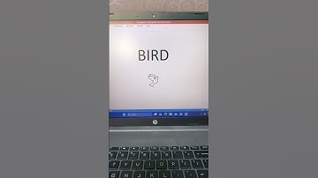 Ms Word Birds Symbol Shortcut keys | #shorts #bird #computer #tricks #education #viralvideo