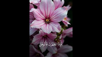 سورة البقرة من صلاة التراويح احمد الحداد