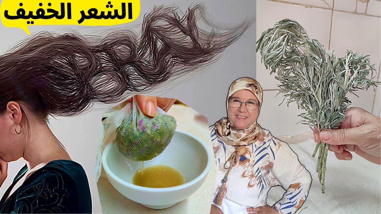 عندك شيبة في دار؟؟ عندك فروة الراس فارغة ومتضررة وشعرك خفيف ☹️حضري علاج نهائي لي تساقط الشعر طبيعي👍