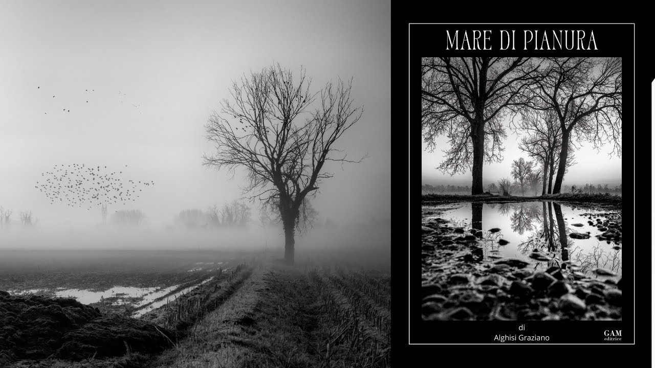 Mare di Pianura – Un viaggio tra acqua e terra 2