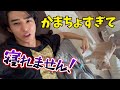 保護した猫のせいで仕事も睡眠も取れません…そろそろやばいです…