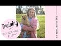 How I Trained My Pomeranian Puppy! | Katie KALANCHOE How I Trained My Pomeranian Puppy! | Katie KALANCHOE