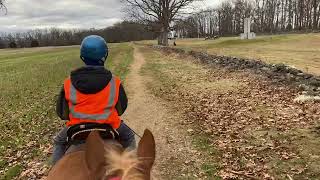 Horseback Riding The Gettysburg Battlefield Horse Trails