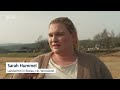 Leere Eier-Regale im Supermarkt: Wenige Legehennen-Landwirte, große Nachfrage | Abendschau | BR24