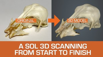 A SOL 3D scanning from start to finish - SOL 3D Scanner by Scan Dimension