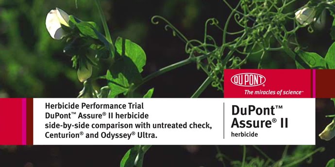 Assure® II Controls Foxtail Barley, Quackgrass and Japanese Brome