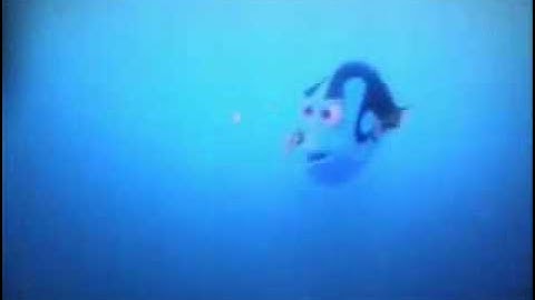 Finding Nemo - Squishy