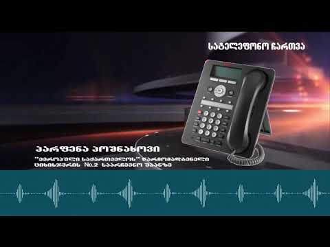 ბიულეტენების შემოწმება თუ დახმარება - ციხისჯვრის რწმუნებული საარჩევნო უბანზე