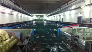 Wave Maker Test