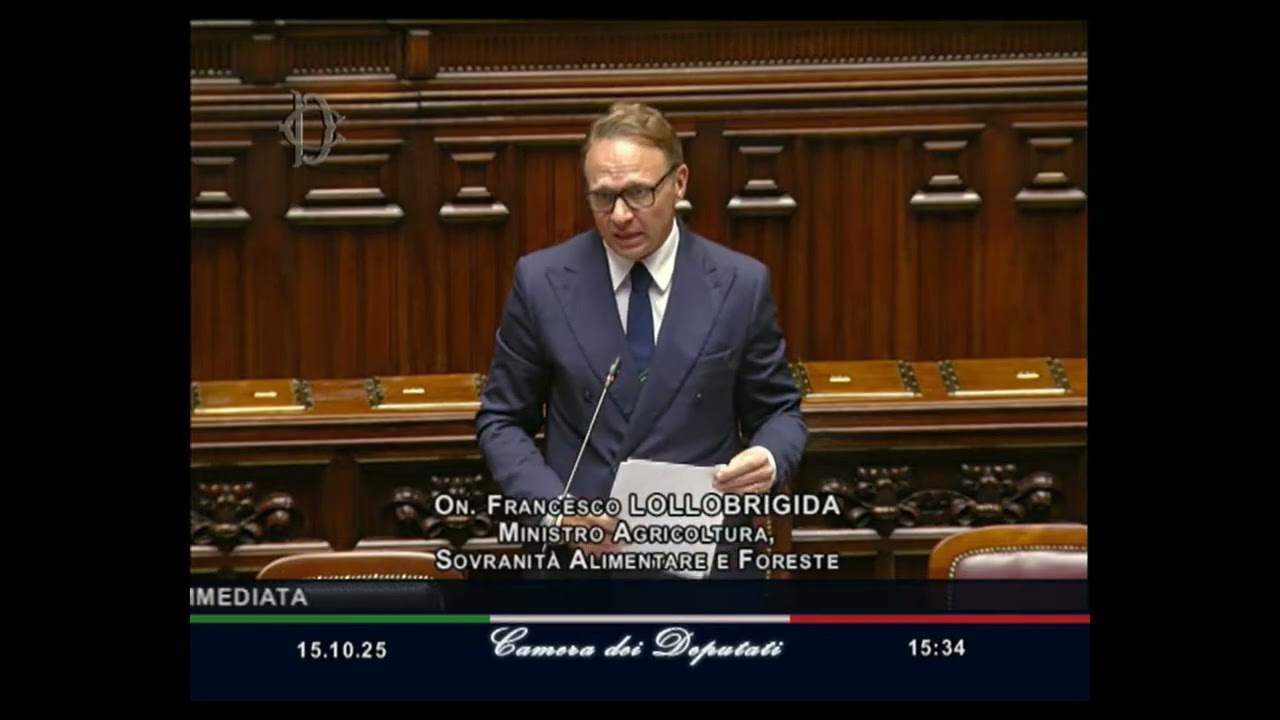 Intervento del Ministro Francesco Lollobrigida al Question Time alla Camera - 15/10/2025