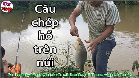 Câu cá chép hồ - mồi câu tự làm hiệu quả tuyệt đối - Fishing carp lake
