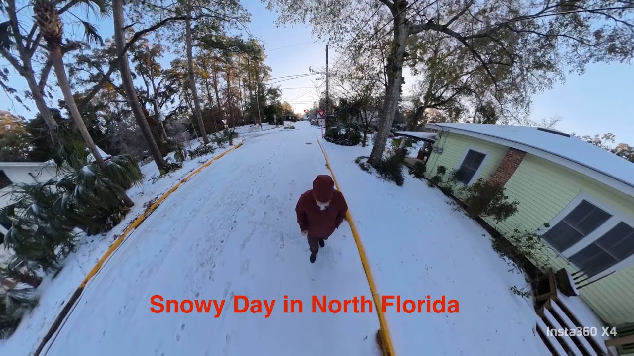 Snowy Day in North Florida, January, 2025