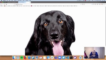 Using Go Modules with Module Servers and the Athens Project (Episode 28)