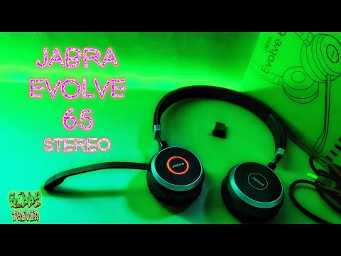 Jabra Evolve 65 Stereo | Online Class or WFH Audio Comms Option