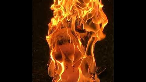 "Dirt Bells" - Loopop Superbooth Contest Submission