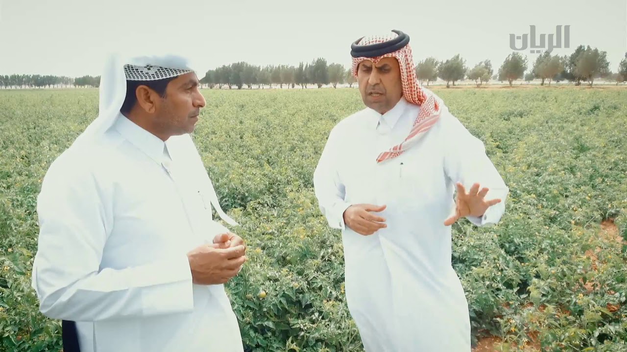 برنامج إنتاج قطر - مزرعة العز - 14-03-2018