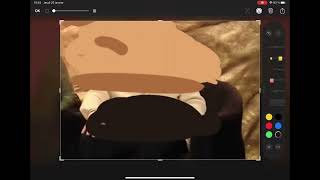 Cropping Ian out of the cast because he lied about being indigenous Net Worth