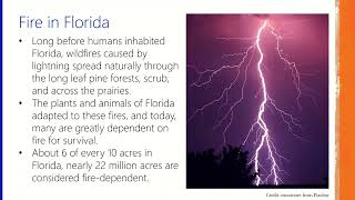 Wild Sarasota: Prescribed Fire (Keeping Our Community and Ecosystems Safe)