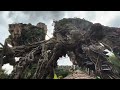 Pandora at Disneys Animal Kingdom Full Day &amp; Night Experience | Flight of Passage &amp; Na’vi River POVs