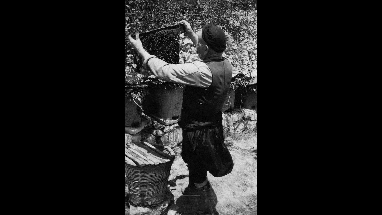 DOCUMENTARY: TRADITIONAL BEEKEEPING WITH MOVABLE-COMB HIVES