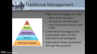 Lesson 2 - Management Structures