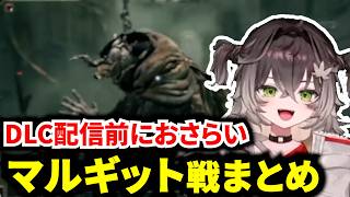 DLC配信前におさらい！マルギットに最弱装備で挑むちーたままとめ